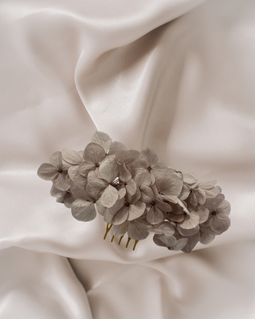 The Hidden Meaning Behind Orchid Colors