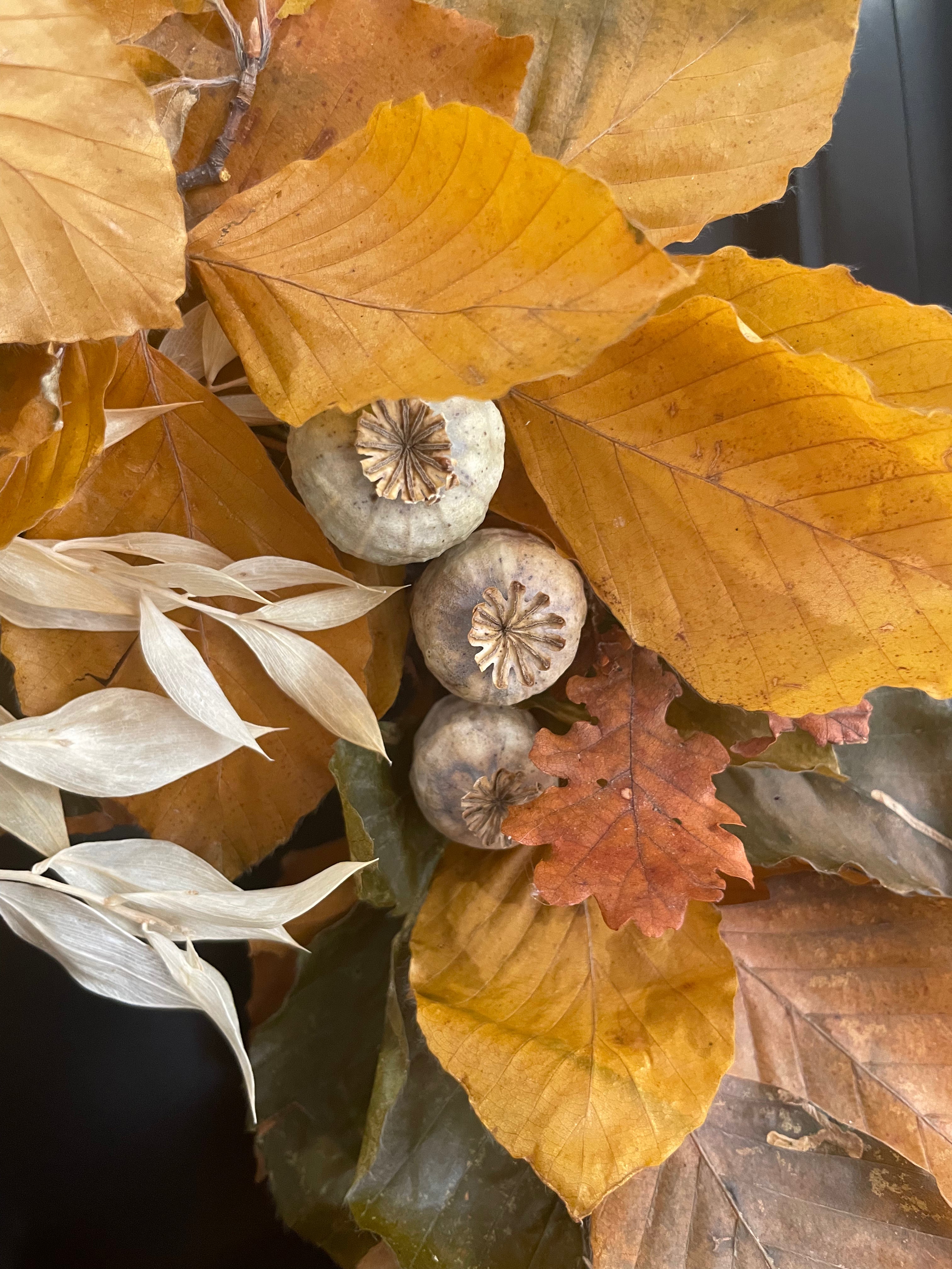 Corona Otoño