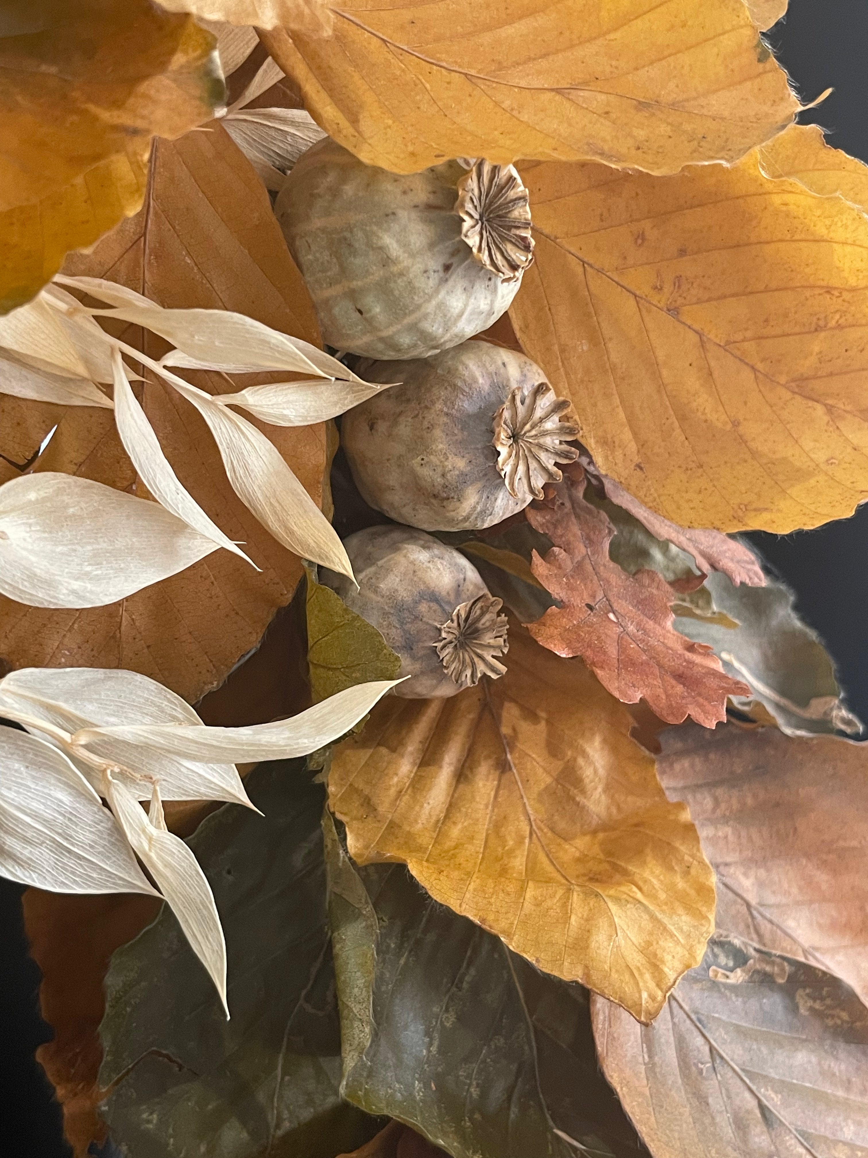 Corona Otoño