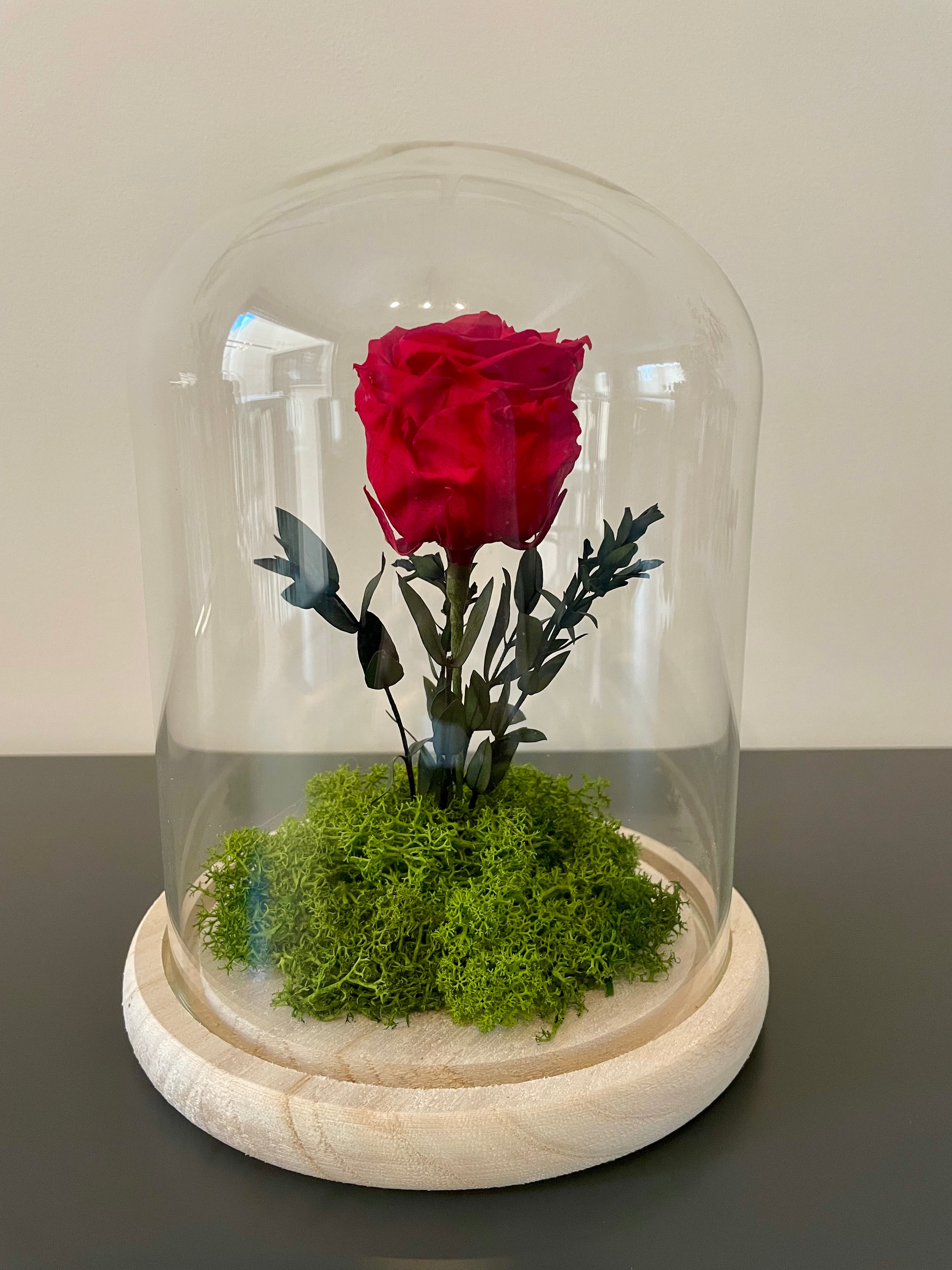 Cúpula Rose