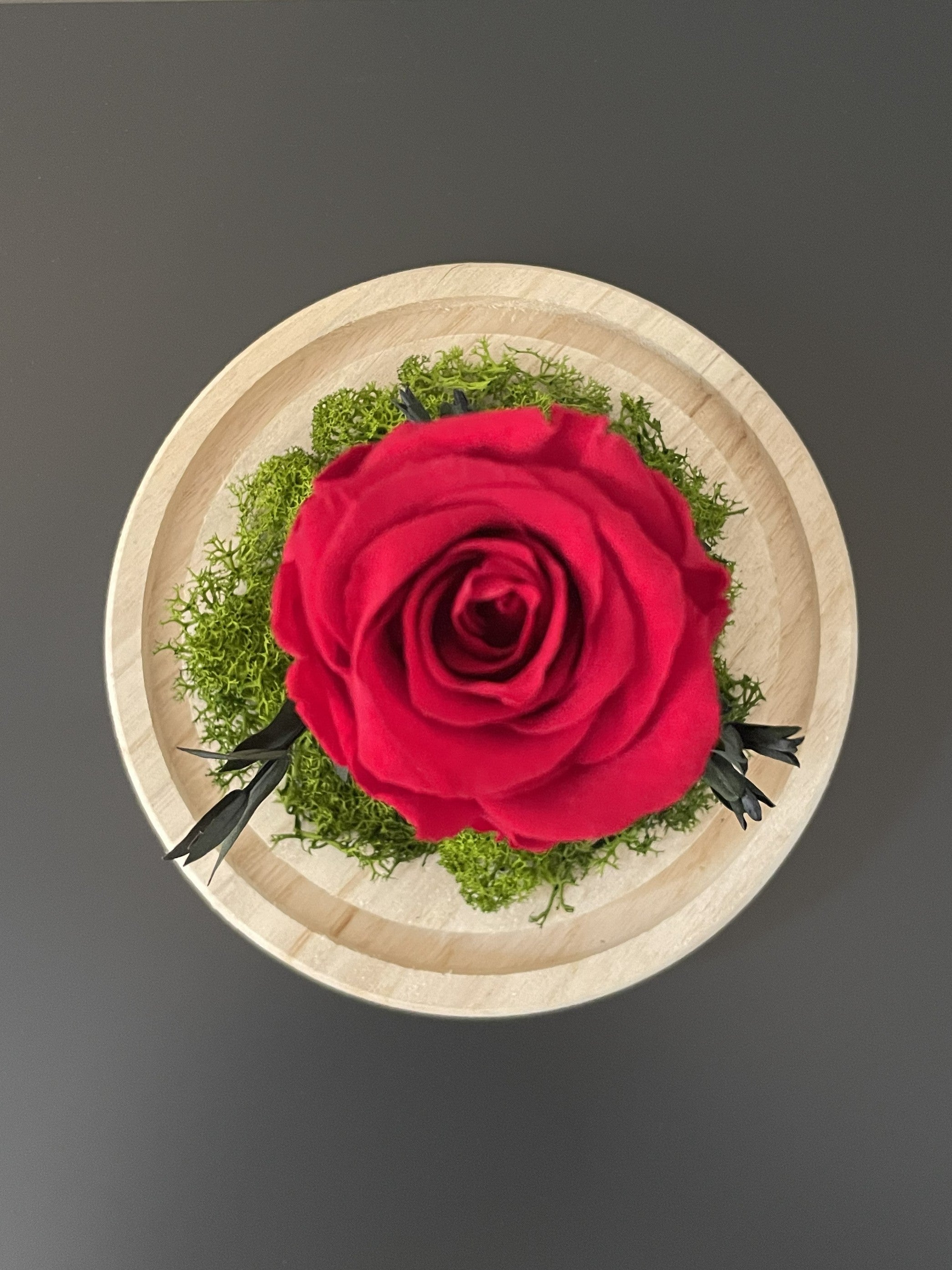 Cúpula Rose